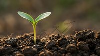 Young green plant seedling emerging from rich dark soil with growth timeline arrows showing progression from 2010 to 2025, symbolizing development and future success.