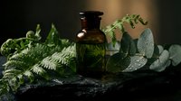 Natural herbal essential oil in amber glass bottle with fresh green ferns and eucalyptus leaves on dark slate surface for aromatherapy and wellness.