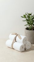 Clean white towels tied with beige ribbon next to succulent plant in concrete pot on neutral background for spa and wellness concepts.