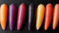 Fresh colorful raw carrots in vibrant shades of orange, purple, pink, black, yellow and red arranged in neat row on dark background, organic healthy food.