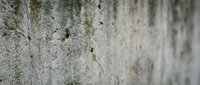 Weathered concrete wall surface with natural aging patterns and textural details for industrial design backgrounds and architectural projects.
