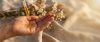 Hand holding dropper with golden oil serum against warm sunlight background with dried flowers for natural skincare and wellness aromatherapy treatments.