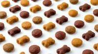 Dry dog food kibble and bone-shaped treats arranged in rows on white background, top view flat lay for pet nutrition and care concepts.