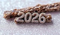 Glittery silver numbers 2026 on chocolate pretzel sticks dusted with powdered sugar against blurred festive background, creating celebratory new year composition.