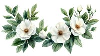 Watercolor white magnolia flowers with green leaves arrangement in horizontal composition, botanical art on white background for wedding design.