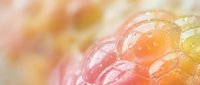 Close-up macro view of fresh raspberry with water droplets on surface showing detailed texture and natural moisture for food photography and culinary content.