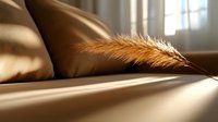 Delicate dried pampas grass plume casting soft shadows on beige silk bedding, illuminated by gentle morning sunlight streaming through window for home decor.