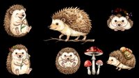 Hedgehog characters in various poses and expressions, isolated on transparent background. Ready for t-shirt design, clipart, stickers, print-on-demand products, and sublimation projects.