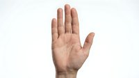 Human hand showing open palm in stop gesture on white background isolated for design and communication concepts.