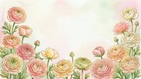 Watercolor ranunculus flowers frame with soft pink and cream blooms on pastel background for wedding invitations, greeting cards and romantic designs.