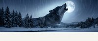 Wolf howling at full moon in snowy winter forest landscape with falling snow and evergreen trees creating dramatic nocturnal wilderness scene.