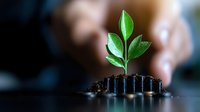 Green sprout growing from stacked coins in soil against dark background, symbolizing financial growth and sustainable investment strategies for business concept.