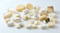 Assorted gourmet cheese varieties including brie, camembert, gouda and fresh mozzarella arranged on white background for culinary and food photography.