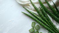 Fresh cut aloe vera leaves and sliced pieces on white cloth background with copy space, natural skincare and wellness concept for spa treatments.
