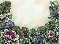 Ornamental kale and peony flowers frame a soft, neutral background, creating an elegant botanical border suitable for invitations, greeting cards, and decorative design projects.