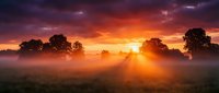 Dramatic sunrise over misty meadow with golden sunlight breaking through purple clouds and silhouetted trees, creating atmospheric landscape for nature and travel projects.
