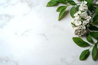 Fresh white spring blossoms and green leaves on marble background with copy space, natural floral corner arrangement for wedding stationery design.