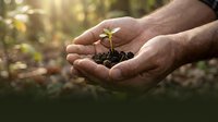 Male hands holding young seedling with soil, symbolizing growth, environmental care, and sustainable agriculture for eco-friendly projects.