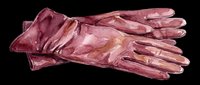 Burgundy leather gloves isolated on transparent background, ready for fashion design, t-shirt graphics, clipart, print-on-demand products, sublimation, and digital crafts.