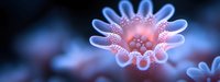 Macro view of pink and blue coral polyp with delicate tentacles and intricate texture against dark background, showing marine life details and underwater beauty.