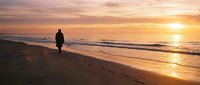 Silhouetted male surfer walking along sandy beach at golden hour sunrise with surfboard, ocean waves and warm sky reflecting on wet sand for travel and lifestyle content.