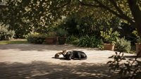 Dog sleeping peacefully on sunny paved walkway under tree shade in garden park setting with planters and natural lighting for relaxation concepts.