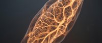 Glowing leaf with intricate vein patterns illuminated in warm golden light against dark background for nature and botanical design projects.
