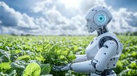 Futuristic robot working in green agricultural field, examining lettuce crops against cloudy sky. Modern farming automation and AI technology in agriculture.