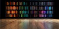 Colorful glowing vertical light bars on black wall with wooden floor reflection creating rainbow spectrum effect in empty dark modern gallery space.