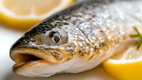Fresh raw salmon head with bright eye close up macro shot on white background with lemon slices, seafood cooking preparation concept.