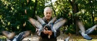 Elderly Caucasian man feeding pigeons in sunny park, birds flying around him with outstretched wings, outdoor leisure activity, senior lifestyle concept.