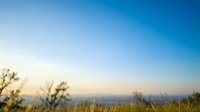 Blurred natural landscape with golden grass field and trees against clear blue sky during sunset creating peaceful outdoor scenery for backgrounds and design projects.