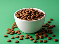 Dry pet food kibbles in white ceramic bowl on green background. Several pieces scattered around. Close up view of brown dog or cat food pellets.