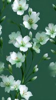 Delicate white flowers with green stems on dark green background create seamless floral pattern. Elegant botanical design for fabric, wallpaper and home decor.