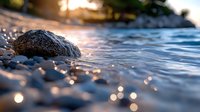 Serene ocean wave gently washing over textured rock on pebbled shore during golden hour sunset, creating peaceful coastal meditation scene with soft bokeh lights.