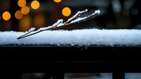 Frozen twig covered in snow crystals against blurred warm bokeh lights background creates magical winter atmosphere with contrast of cold and warm tones.