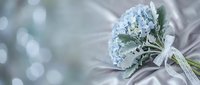 Blue hydrangea wedding bouquet with white ribbon on silk fabric background for bridal ceremonies and romantic celebrations.