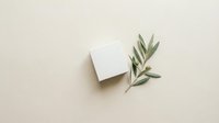 Minimalist white square box mockup with olive branch on beige background, top view flat lay for branding and packaging design.