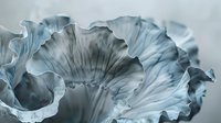 Delicate ruffled petals in soft blue-gray tones create an abstract macro composition with gentle curves and flowing lines, showcasing nature's intricate details.