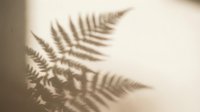 Delicate fern leaf shadow cast on warm beige wall creating natural botanical silhouette for minimalist interior design and organic home decor concepts.