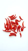 Fresh red chili peppers arranged on white background, isolated for culinary design, cooking content, recipe blogs, food packaging and restaurant menus.