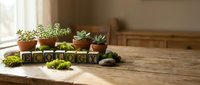 Small potted plants and succulents arranged on rustic wooden table with letter blocks spelling ecology in warm natural sunlight for sustainable living.