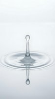 Water drop splash creating ripples and crown formation with reflection on clean white surface for purity and freshness concepts.