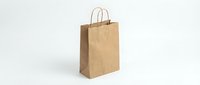 Brown kraft paper shopping bag with twisted handles isolated on white background for retail packaging and eco-friendly commercial use.