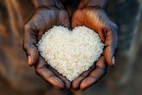 African American hands holding white rice grains shaped as heart symbol against dark background, representing food charity, love, and humanitarian aid.