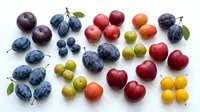 Fresh colorful stone fruits and berries arranged on white background including plums cherries grapes perfect for healthy eating concepts and food photography.