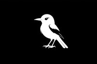 White minimalist bird silhouette on black background, simple clean design for logos, icons and graphic elements. Isolated shape ready for creative projects.