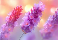 Dreamy lavender flowers in soft focus against pink and orange sunset background, creating romantic garden atmosphere with delicate bokeh light effects.