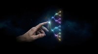 Human hand touching glowing digital network connections with colorful light effects on dark background for technology and innovation concepts.