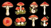 Red mushrooms with white spots, moss, and ferns isolated on transparent background, ready for t-shirt designs, stickers, clipart, sublimation, and print-on-demand products.